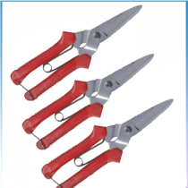 ��ǰ�̹���