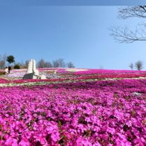 ��ǰ�̹���